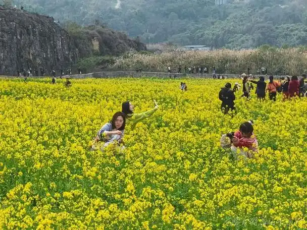 巴南这个春天最火爆的网红景点,曾经竟是一个废弃矿山|花海|山谷|公园