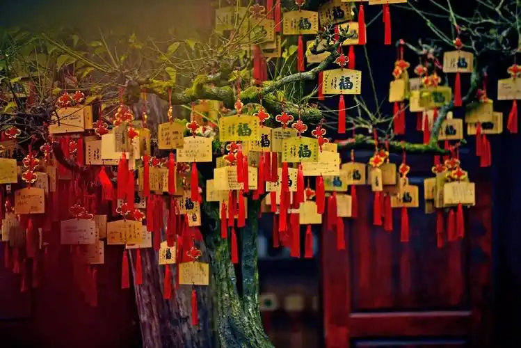 峨眉山寺庙的秋,看一眼就沉醉