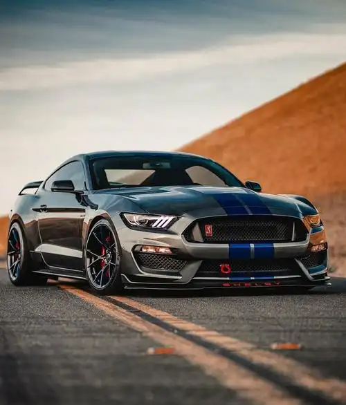 福特谢尔比野马gt350