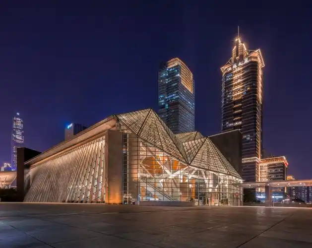 深圳福田中心区地标建筑图书馆夜色