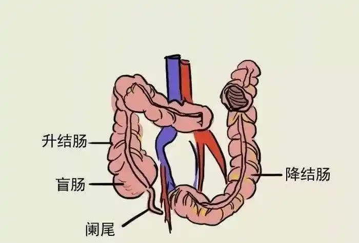 一阑无余 - 美篇