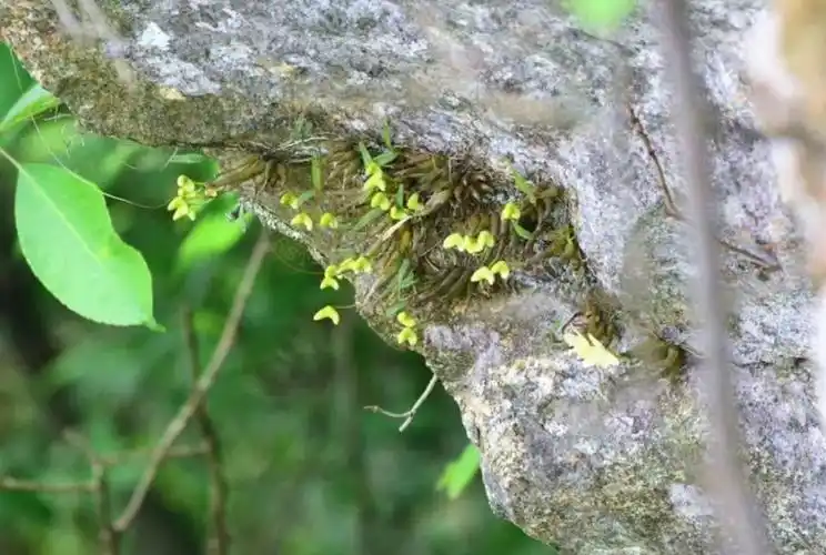 送礼不将就古人更讲究