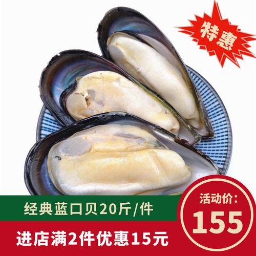 半壳冷冻蓝口贝青口贝贻贝鲜冻冻贝壳类海鲜扇贝20斤装广东包邮