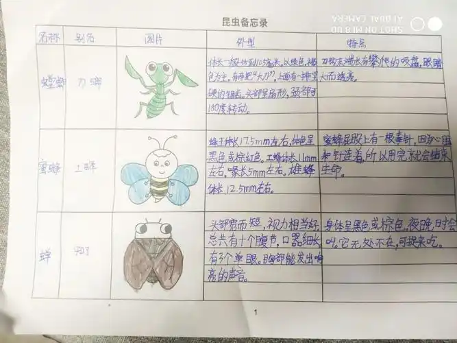 优秀作品~昆虫备忘录