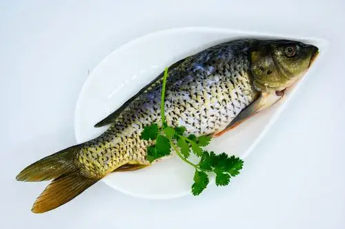 鱼 生物 鲤鱼 水生生物 水产品 淡水鱼 营… - 堆糖,美图壁纸兴趣社区