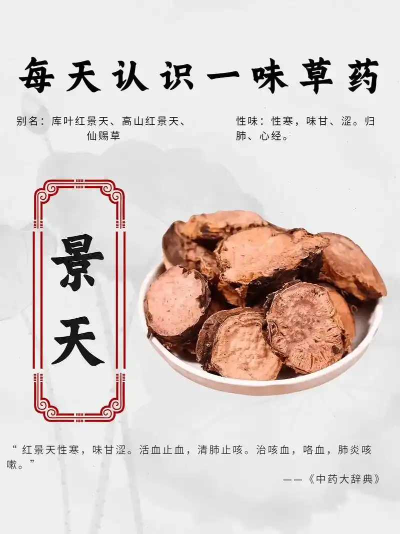每天认识一味中药—【景天】#中药养生知识#康典药业 - 抖音