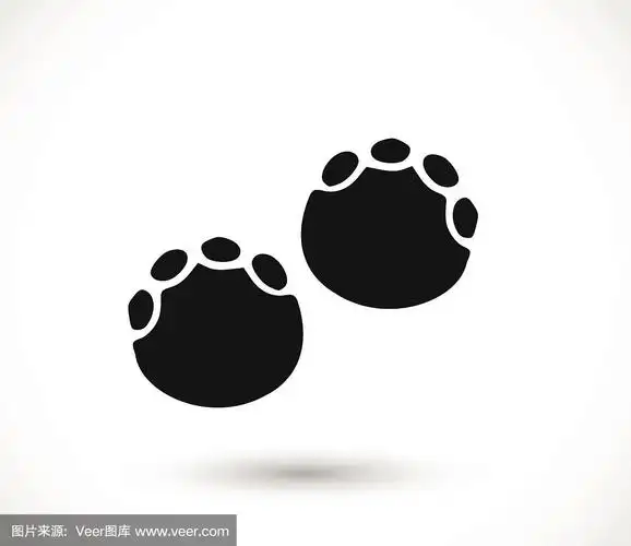 大象的脚印,爪印向量