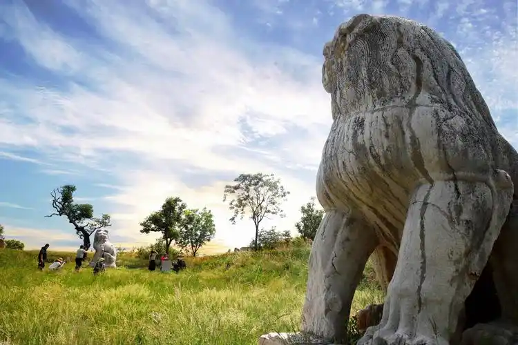 寻唐迹桥陵石狮