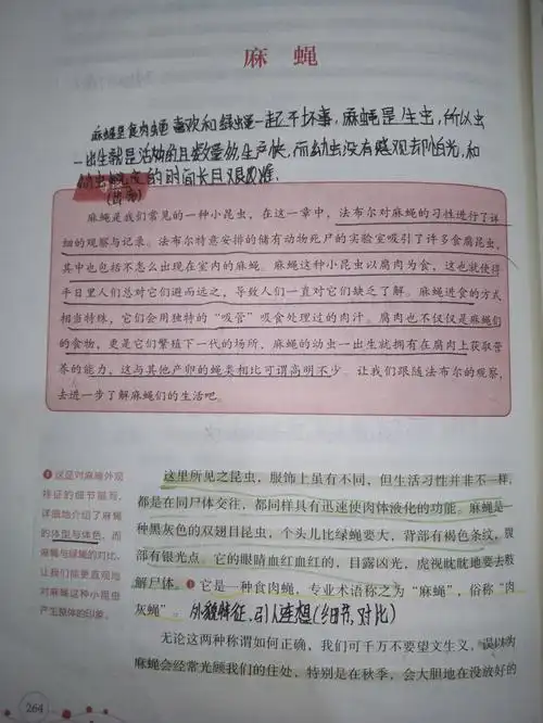 昆虫记第三十七章