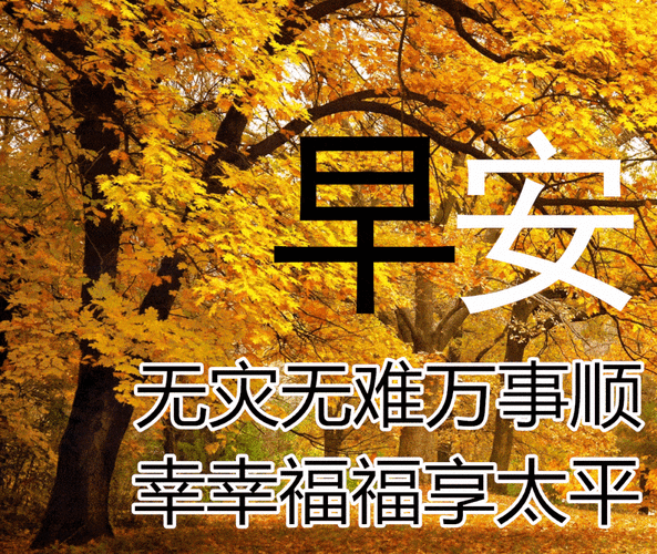 9张秋日最新特漂亮早上好鲜花动画图片带祝福语 2022最美秋日早安问候