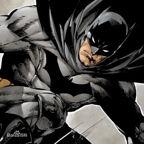 蝙蝠侠 / batman