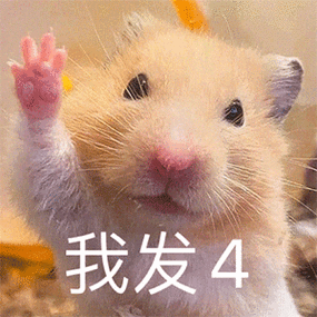 我发4(小仓鼠表情包  我发誓)_我发_仓鼠_发誓表情