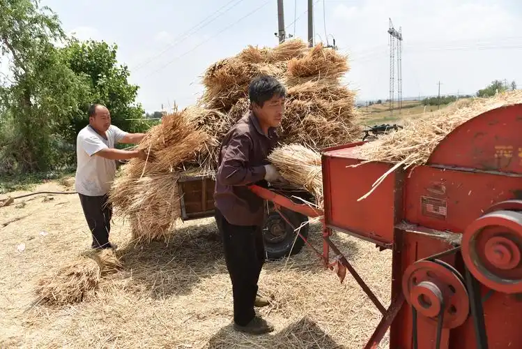 特别是收麦子的时候,因为当地是山区,麦地不成片成行,联合收割机难以