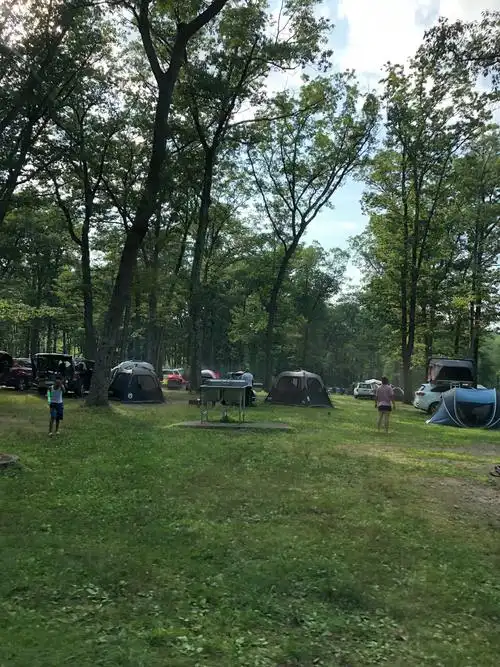 6.美国行:纽约郊外的国家森林公园