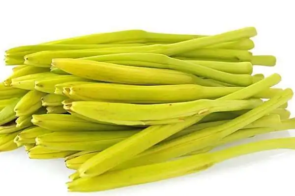 黄花菜图片大全黄花菜长什么样