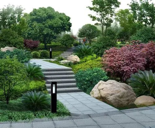 园林景观工程树木移植景观设计的精巧活