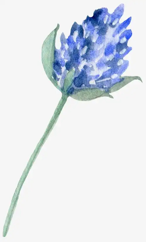 卡通手绘卡通手绘水彩花朵