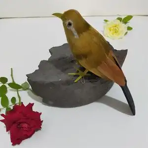 仿真羽毛画眉鸟园林家居摆件装饰寿带鸟泡沫动物模型影视摄影道具
