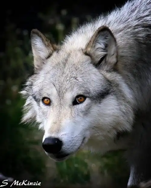 690_863竖版 竖屏