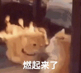 gif)_燃气_gif表情燃起来了(狗狗表情包)_燃起_狗狗表情燃起来了_燃起
