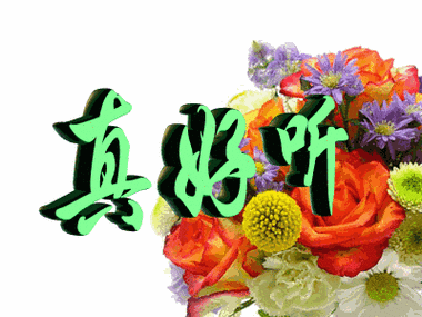 苏唯&dj阿远-花花世界/动感十足的嗨曲