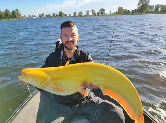 双胞胎兄弟钓到罕见的黄金鲶鱼,全身呈现金黄色