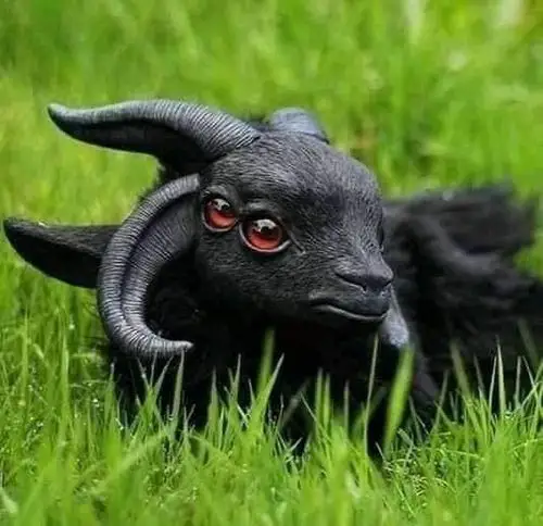 双瞳四角黑羊是不是外星生物?