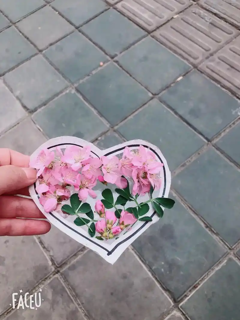 春暖花开奔你而来 #亲子手工制作 又是一年桃花开! - 抖音