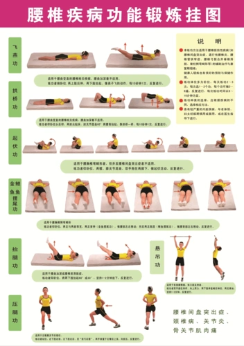 腰椎疾病功能锻炼图