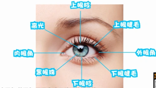 眼睛部位会看到眼皮的厚度,再加上眼睑,高光,内眼角,外眼角,白眼珠