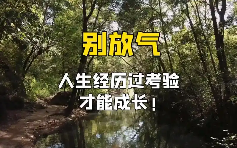 别放气,人生经历过考验,才能成长_哔哩哔哩_bilibili