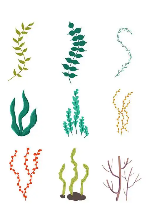 海底绿色海草水草植物素材