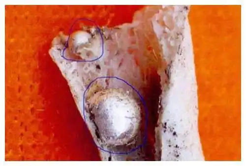 中第六十二回,金光寺上的舍利子被九头虫偷走,因此引发了一场故事