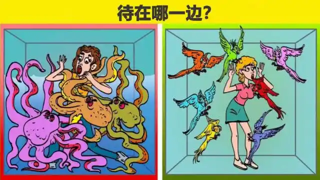 脑力测试:鹦鹉还是章鱼,你会待在哪一边?