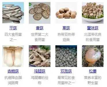 秋冬季多吃蘑菇原来好处这么多解析吃蘑菇的好处