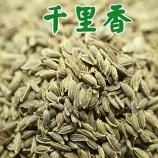 亳州市小超药业中药材超市