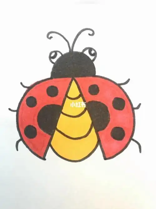 简笔画七星瓢虫