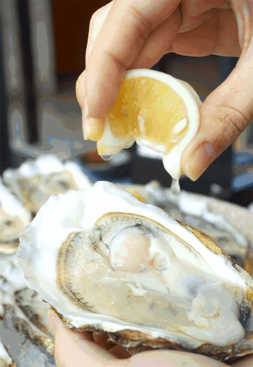 人间有味是生活夏天来一场蚝的盛宴博士生蚝乳山生蚝