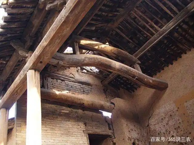 农村有人高价收购旧木头,旧房梁,有啥用途呢?答案来了