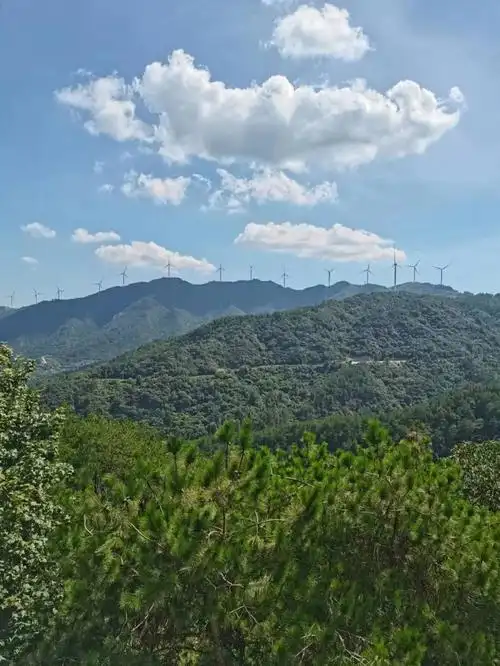 带老婆去旅行,留十多岁儿子一个人在家