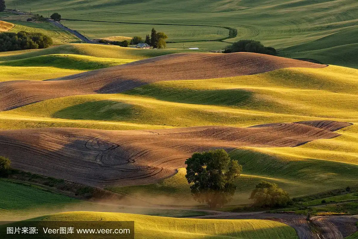 palouse农业区广阔的视野