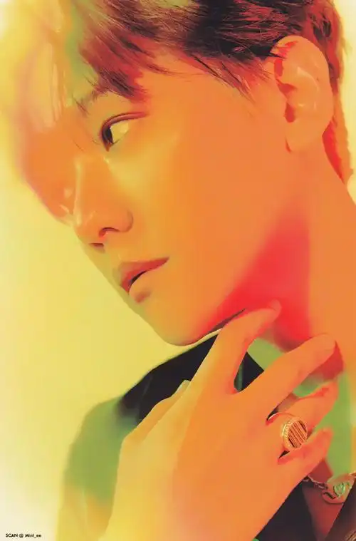 边伯贤费加罗封面##边伯贤