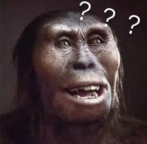 你说的是南方古猿吗?佛山女人皮肤黑,眼窝深,塌鼻梁,厚嘴唇.