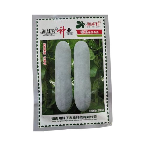 湘妹籽种业大田蔬菜种子银狐杂交粉皮冬瓜种子 中熟高产冬瓜200粒