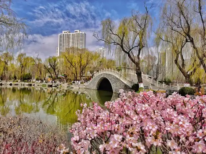 西宁人民公园春天的景色如此美丽春天的公园阳光明媚鲜花盛开到处是一