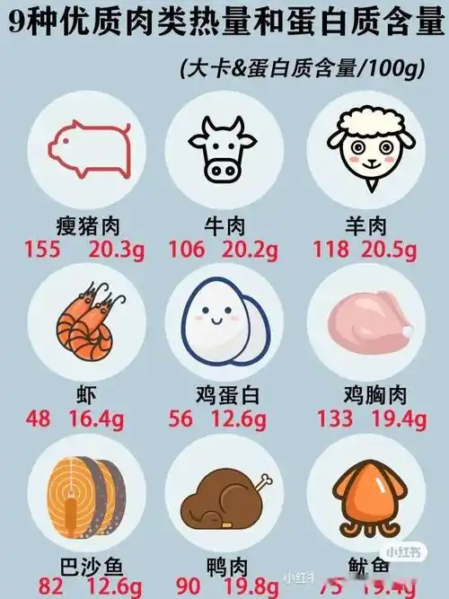 45种最常见的食物热量表