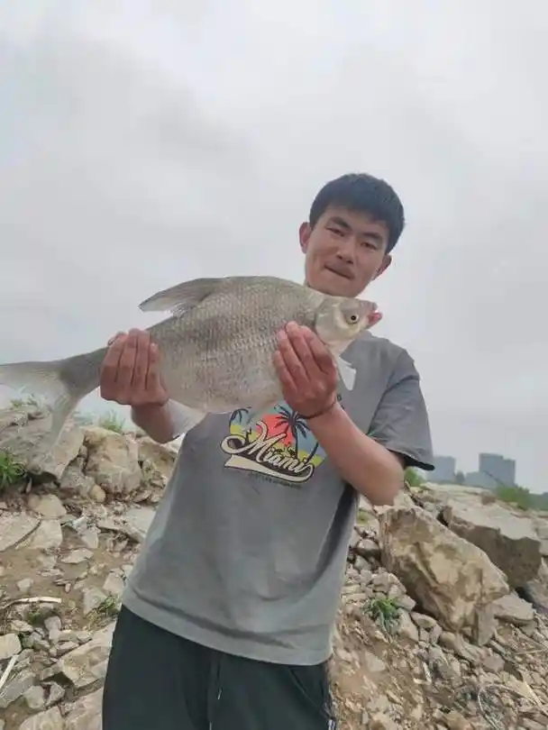 深秋野钓鳊鱼全攻略,个体普遍较大,钓位,钓法及饵料和窝料