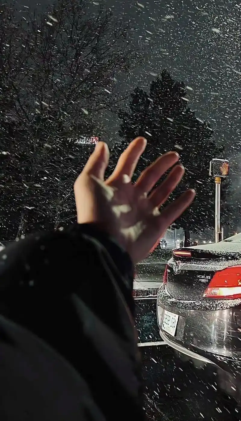 伸手要来的安全感毫无意义,就像提醒后的细节变得廉价～#背景图 - 抖