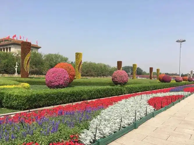 整体看,"五一"摆花造型设计相对简洁,以大片草坪绿植衬托景观花带,让