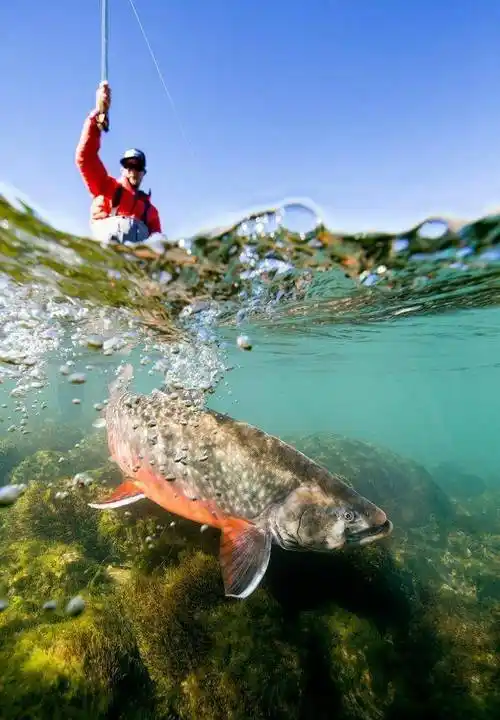 路亚新手除了买鱼竿鱼饵之外,这些防护配件也不能少_保护_面部_鱼钩
